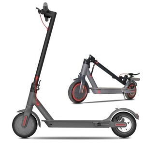 Elscooter E-WHEELS 350W