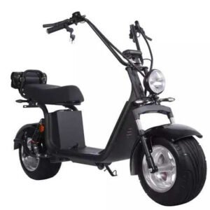 Moped klass1 /20X PRO 2000W